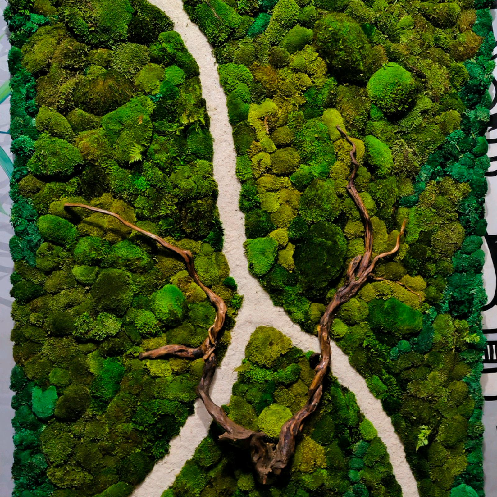 Contoh desain Moss Wall Decor modern minimalis