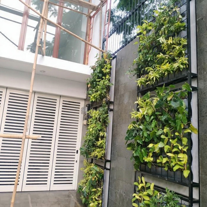Contoh design vertical garden minimalis