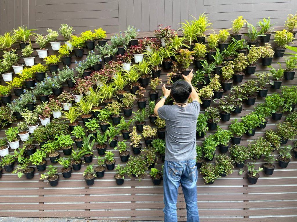 jasa pembuatan vertical garden