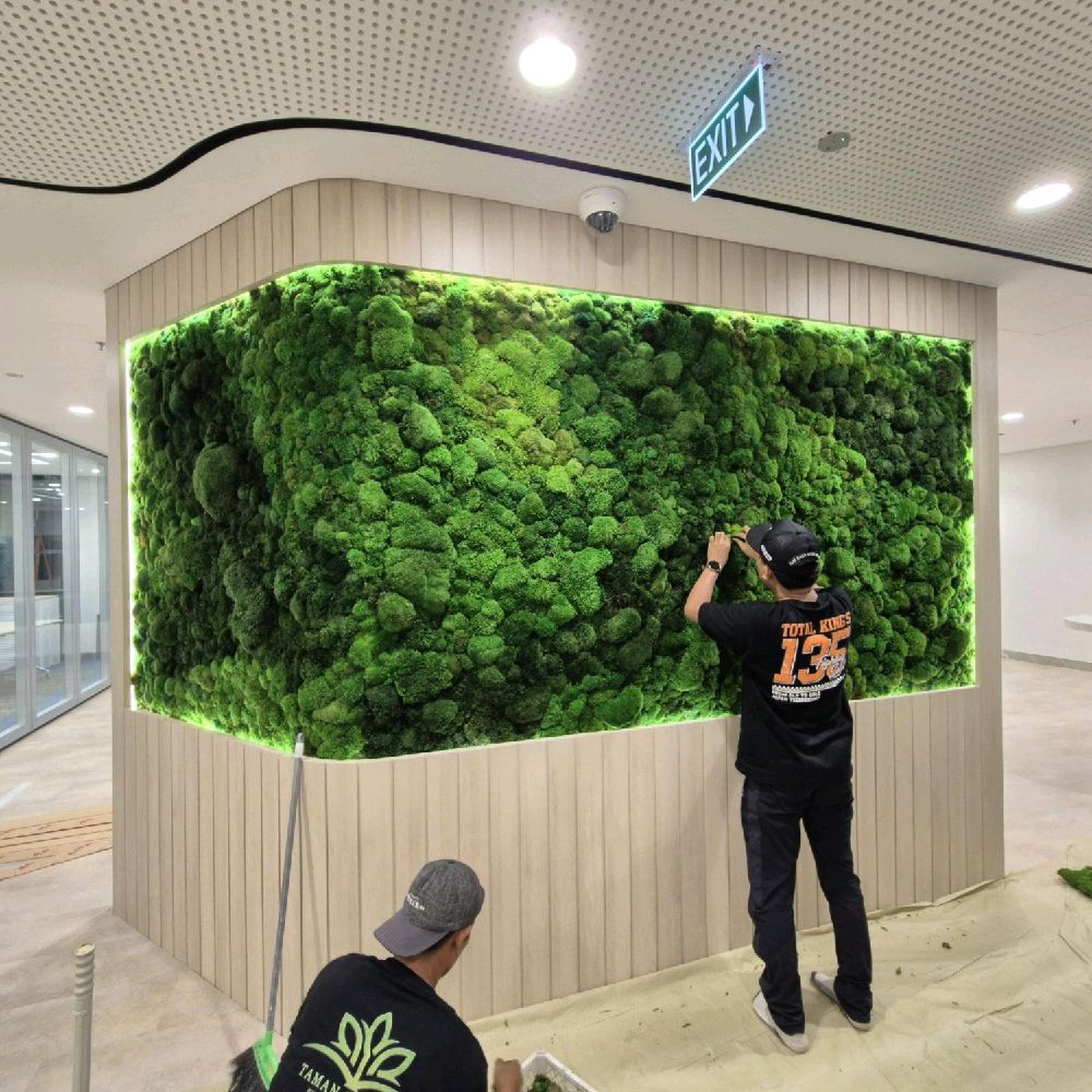 Proses pemasangan panel Moss Wall