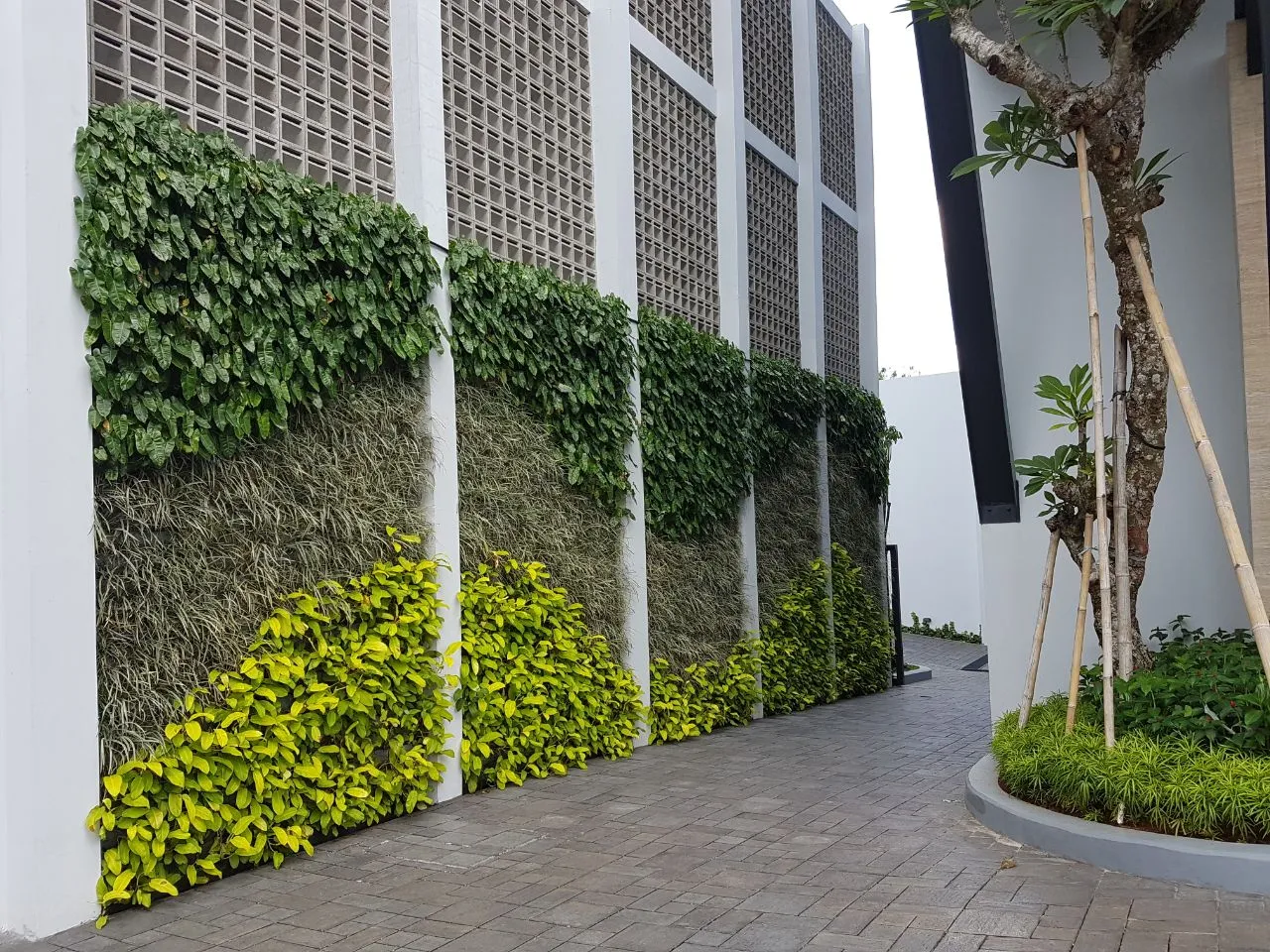 Harga Vertical Garden per Meter