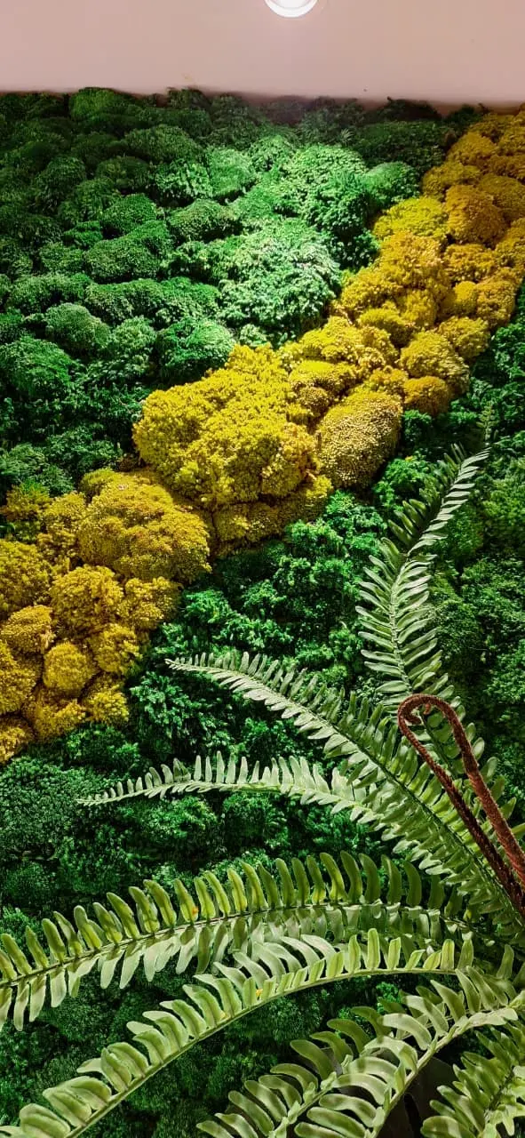 Moss Wall Dekorasi Kantor