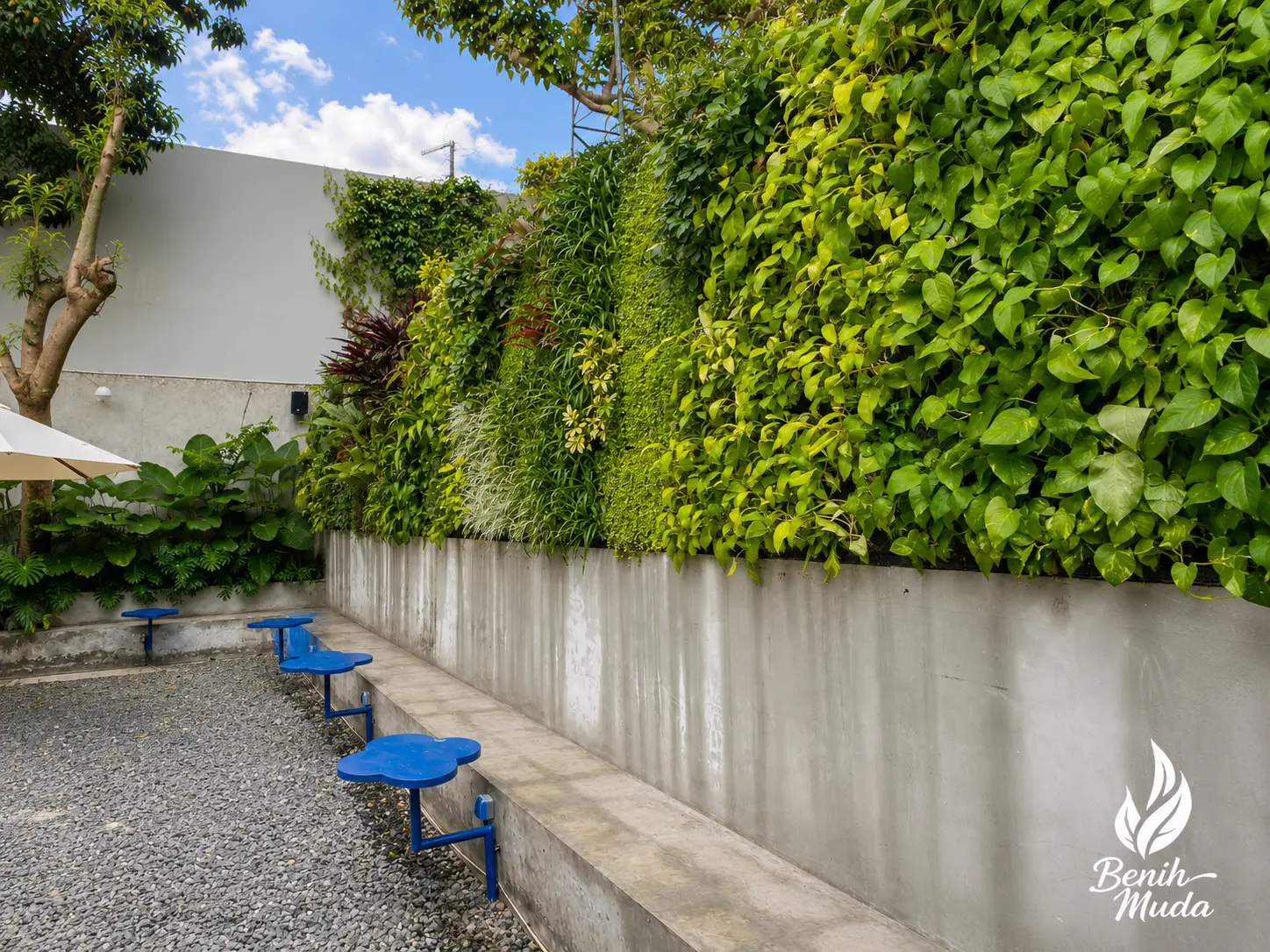 Vertical Garden Caffe