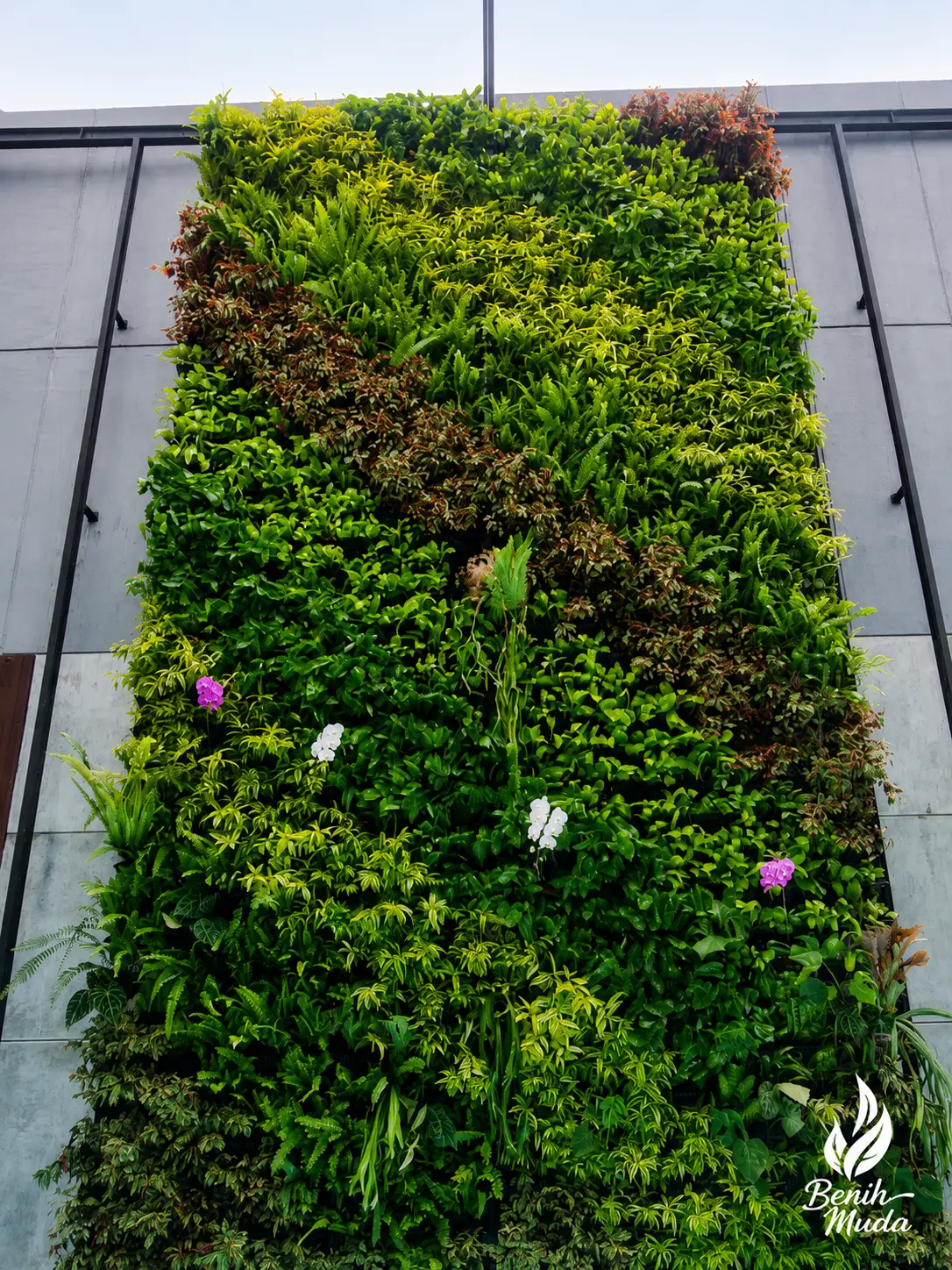 Vertical Garden Depok