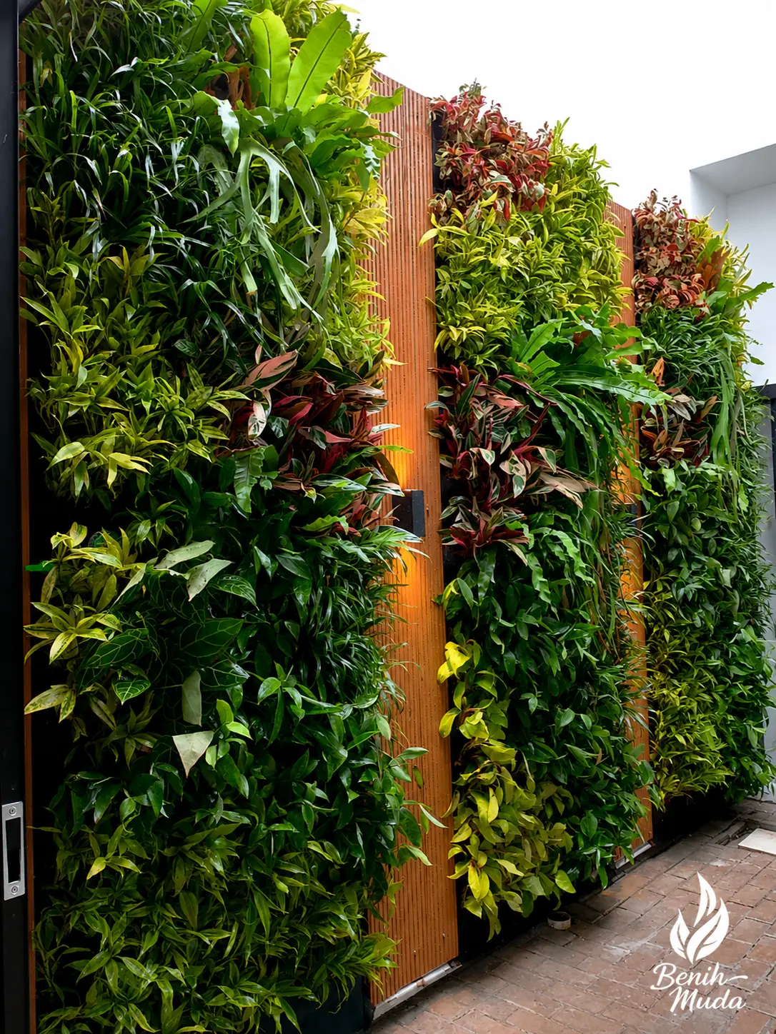 Vertical Garden Halaman Rumah