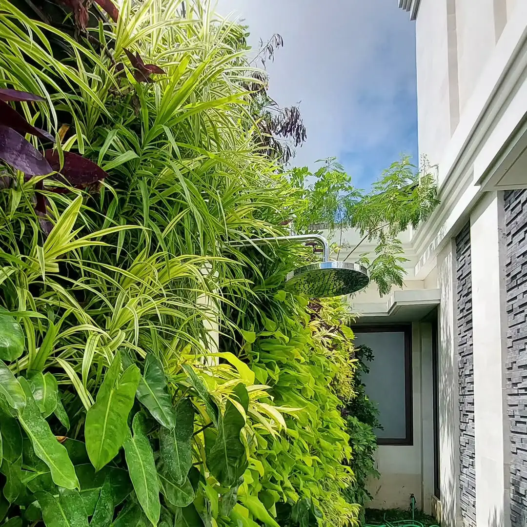 Vertical Garden